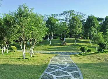 園林綠化養(yǎng)護(hù)