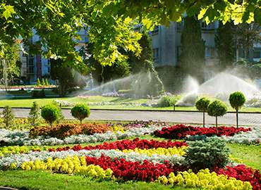 園林綠化養(yǎng)護(hù)