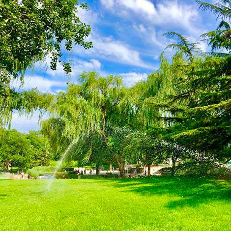 園林綠化養(yǎng)護(hù)